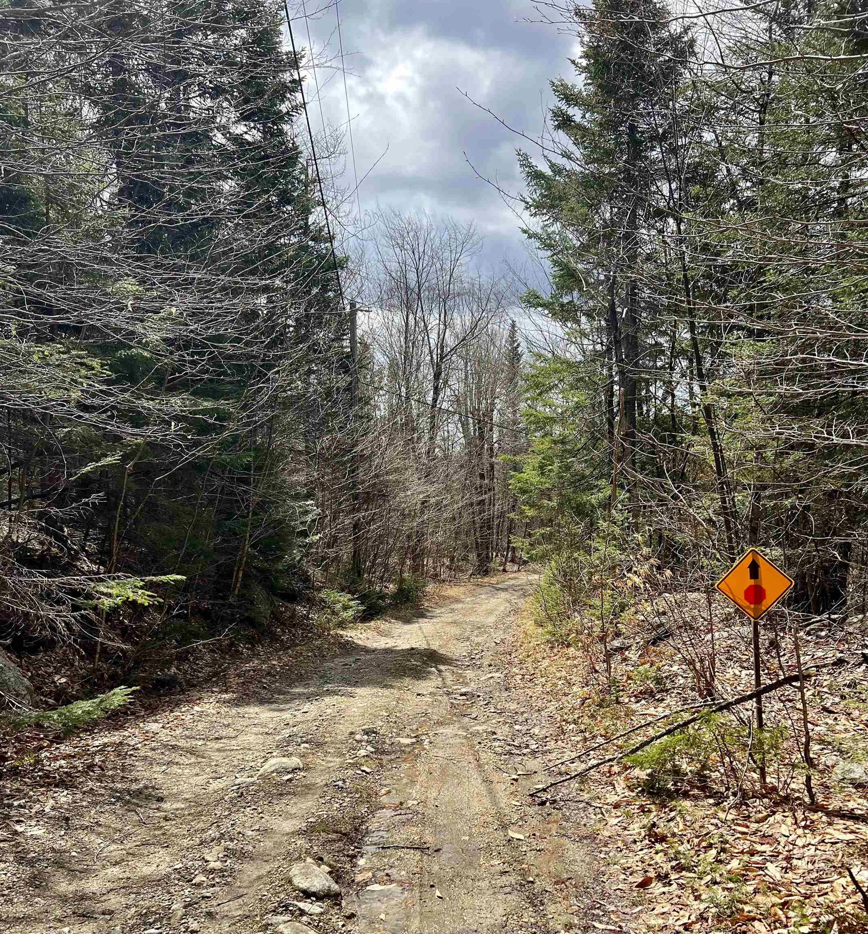 Lot 28 Knowles Hill Road West Alexandria NH 03222