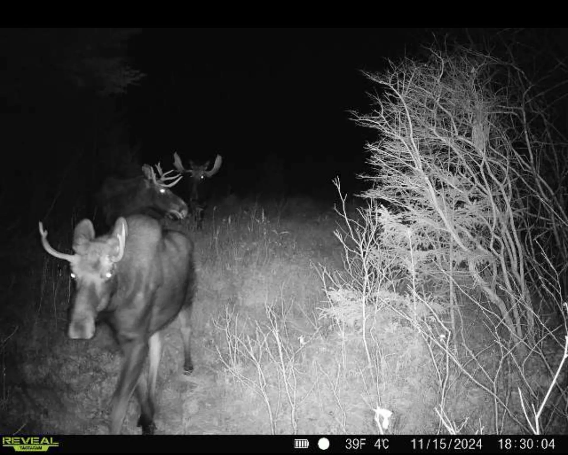 Lot 28 Knowles Hill Road West Alexandria NH 03222