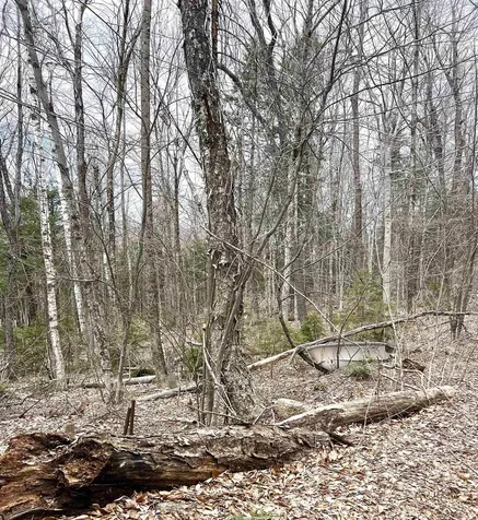 Lot 28 Knowles Hill Road West Alexandria NH 03222