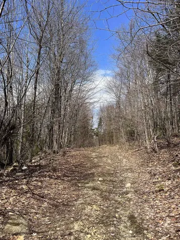 Lot 28 Knowles Hill Road West Alexandria NH 03222