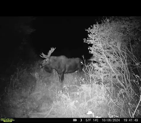 Lot 28 Knowles Hill Road West Alexandria NH 03222