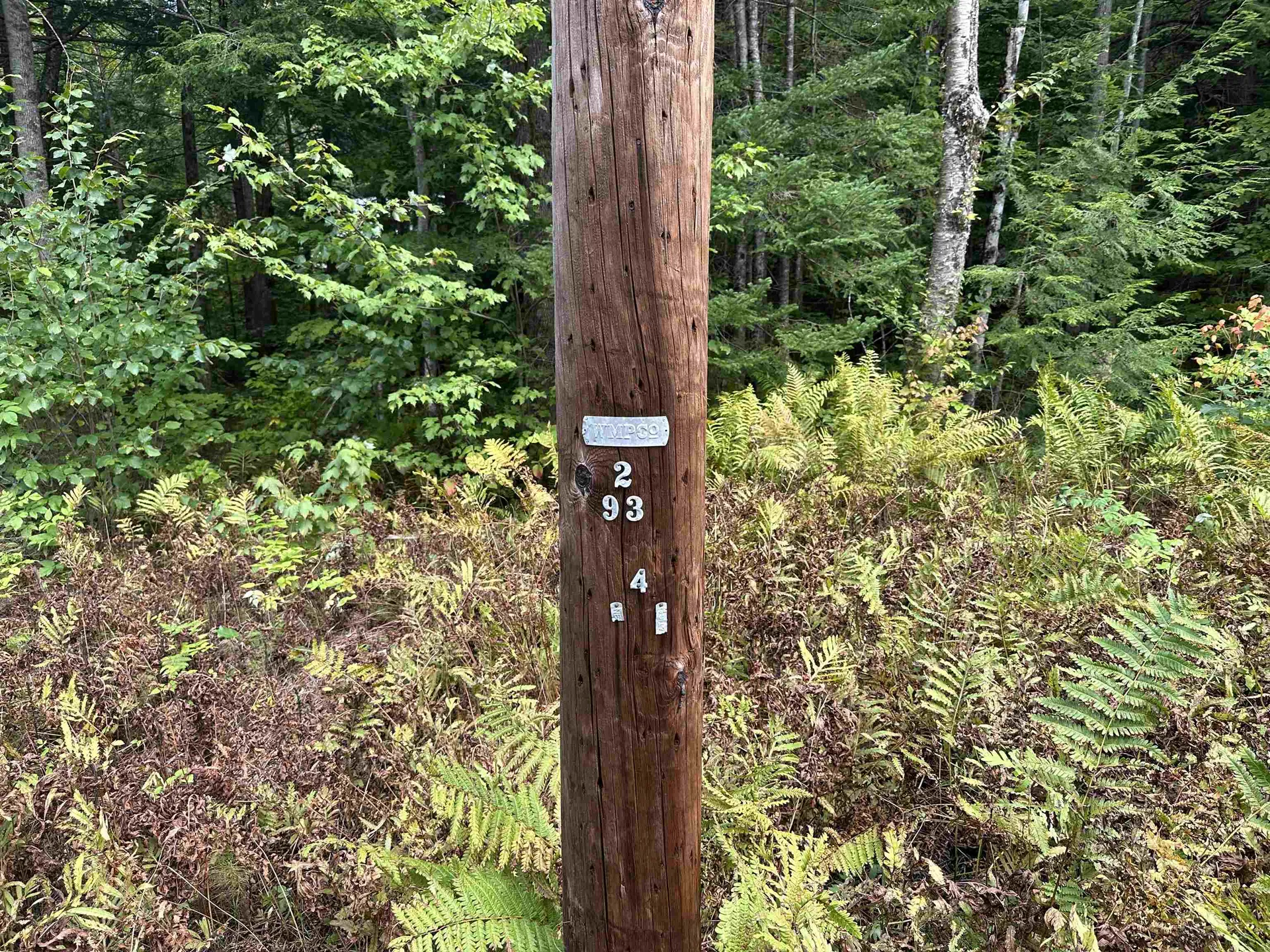 39 Ridge Road Jackson NH 03846