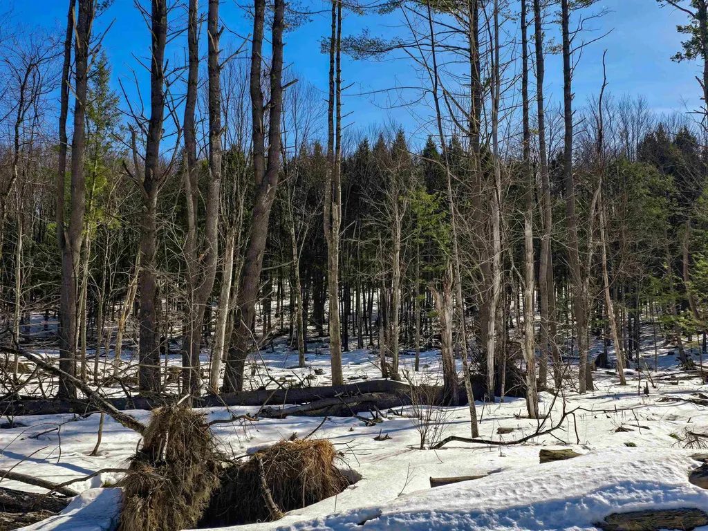 1630 Street Albans Road Richford VT 05476