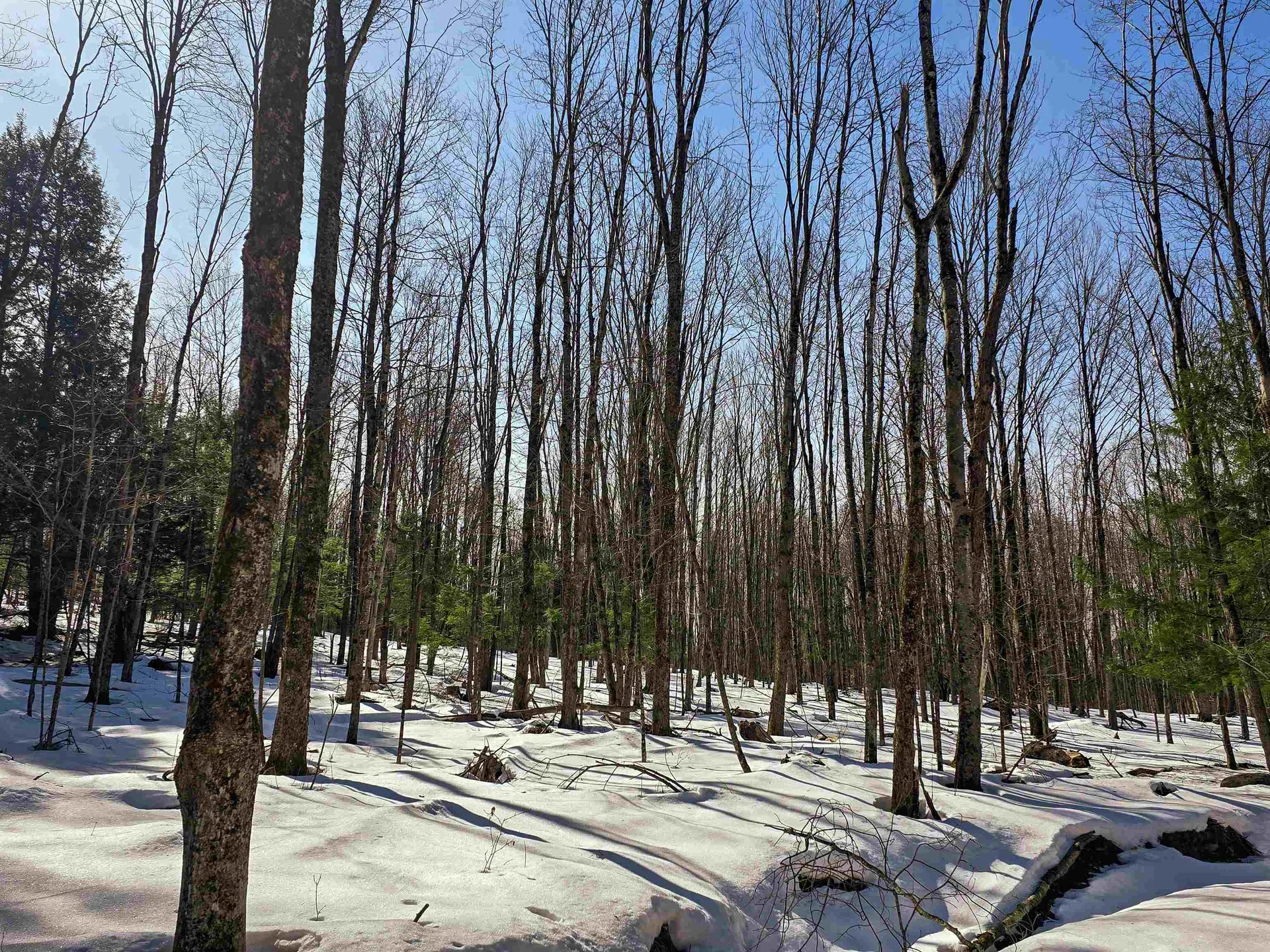1630 Street Albans Road Richford VT 05476