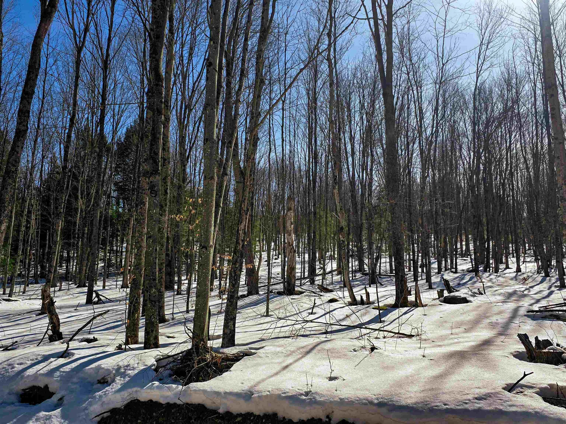 1630 Street Albans Road Richford VT 05476