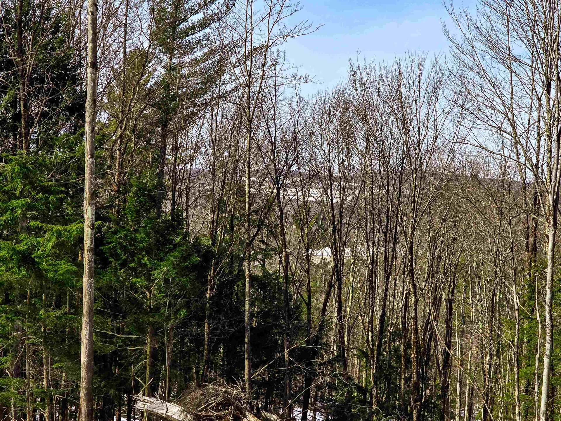 1630 Street Albans Road Richford VT 05476