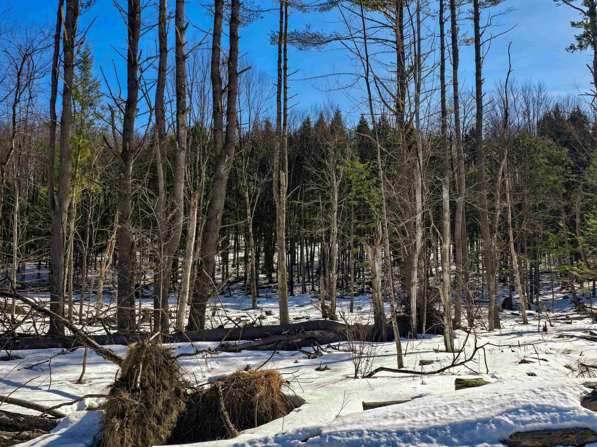 1630 Street Albans Road Richford VT 05476