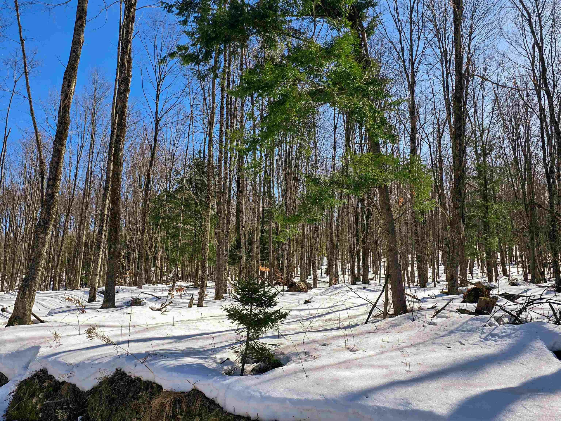 1630 Street Albans Road Richford VT 05476