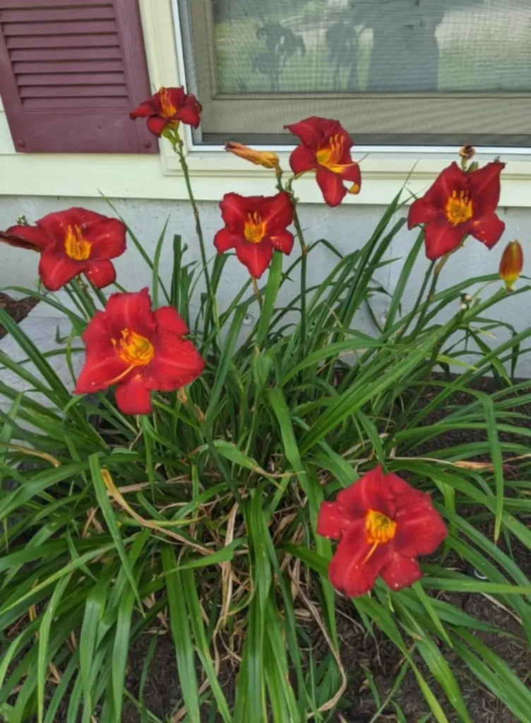 315 Blevens Drive Manchester NH 03104