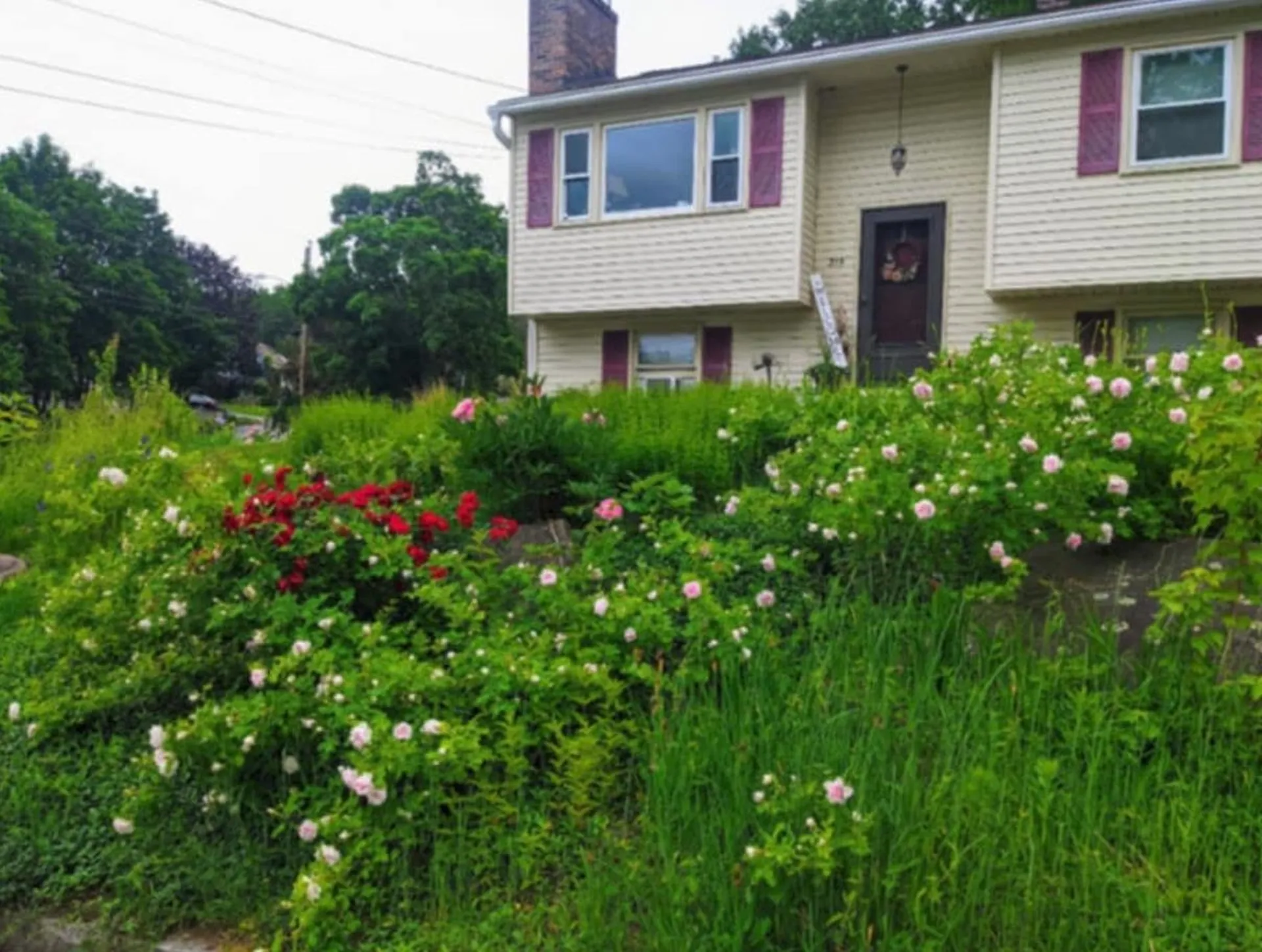 315 Blevens Drive Manchester NH 03104