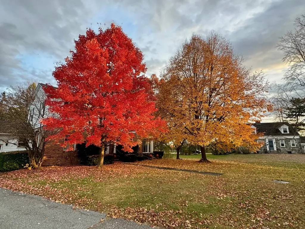 292 Chipman Park Middlebury VT 05753