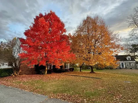292 Chipman Park Middlebury VT 05753