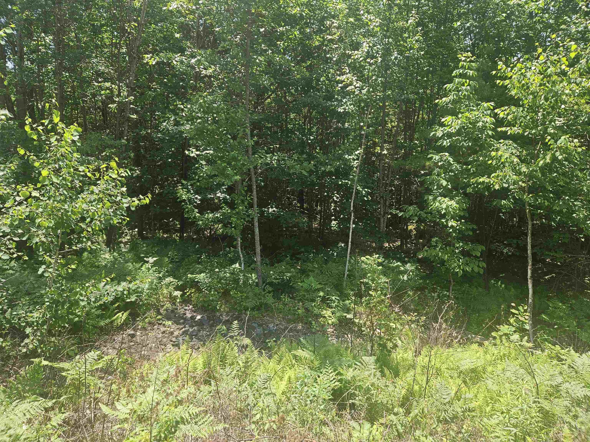 9 Lady Slipper Lane Moultonborough NH 03254