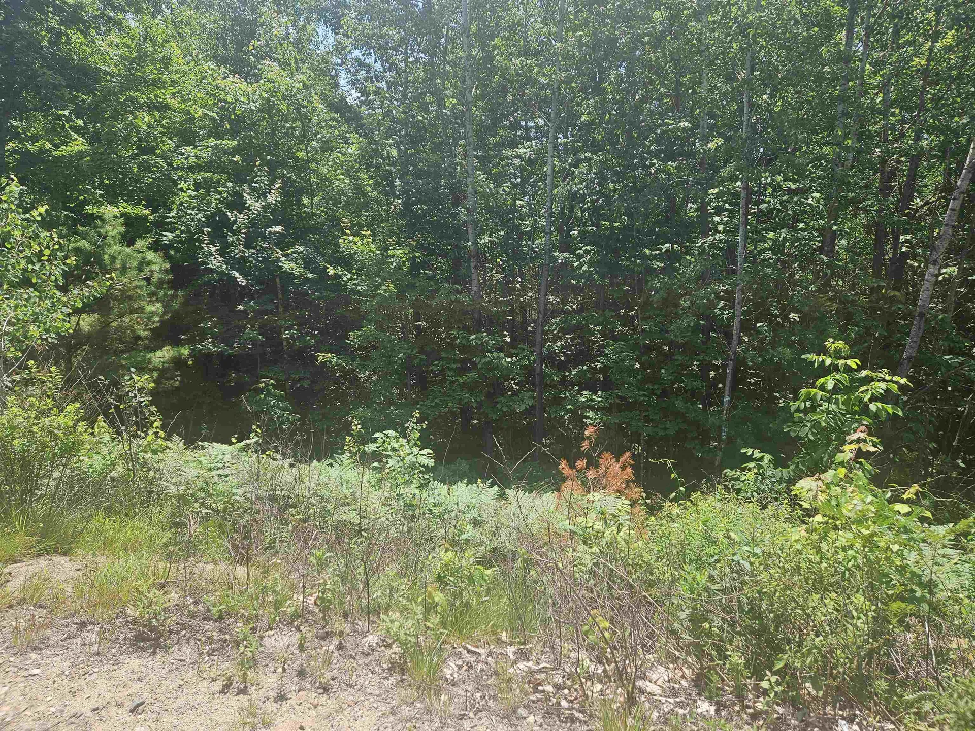 9 Lady Slipper Lane Moultonborough NH 03254