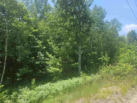 9 Lady Slipper Lane Moultonborough NH 03254