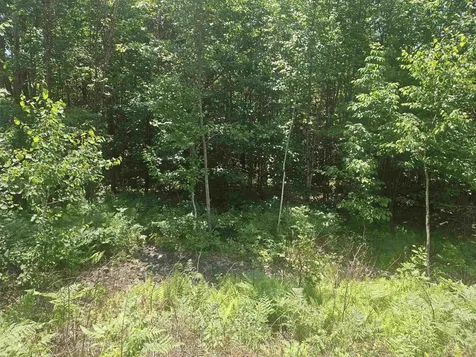 9 Lady Slipper Lane Moultonborough NH 03254