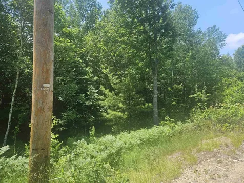 9 Lady Slipper Lane Moultonborough NH 03254