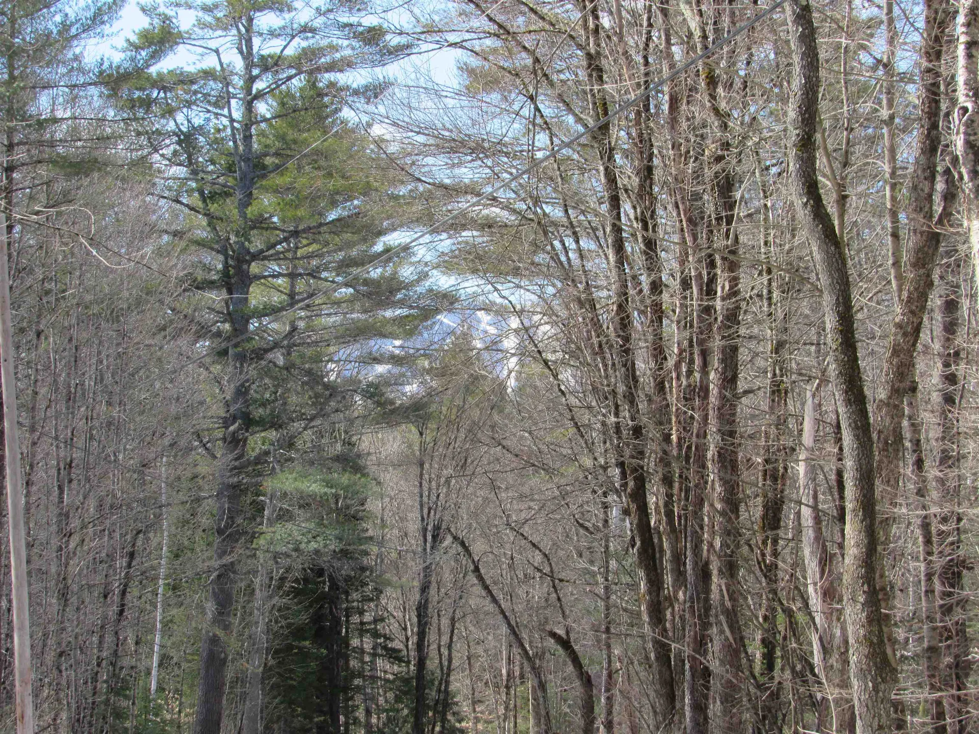 1192 Haven Hill Road Londonderry VT 05148