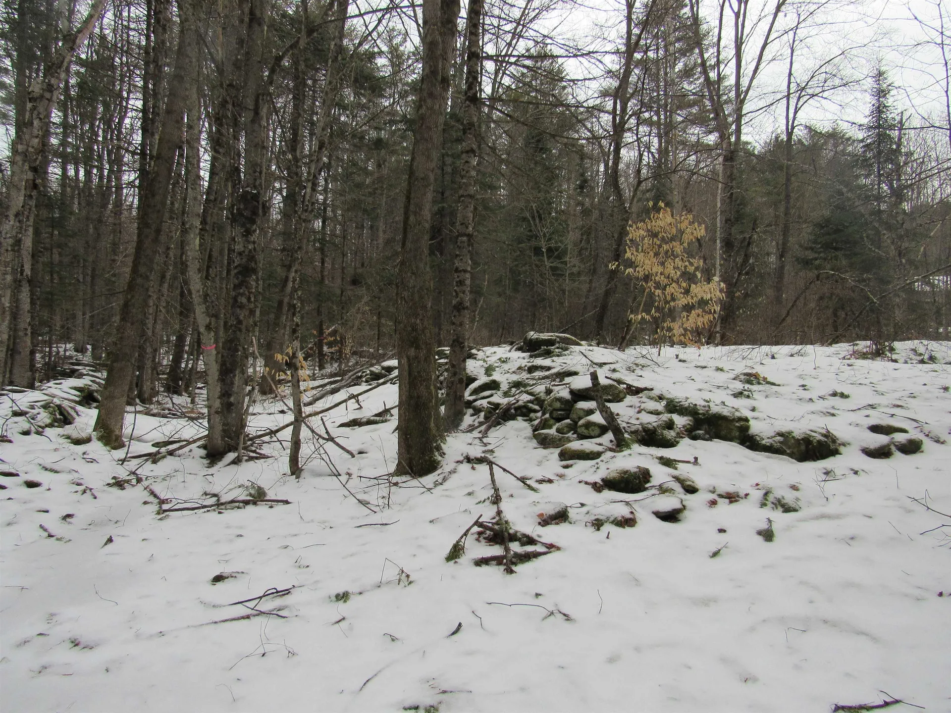 1192 Haven Hill Road Londonderry VT 05148