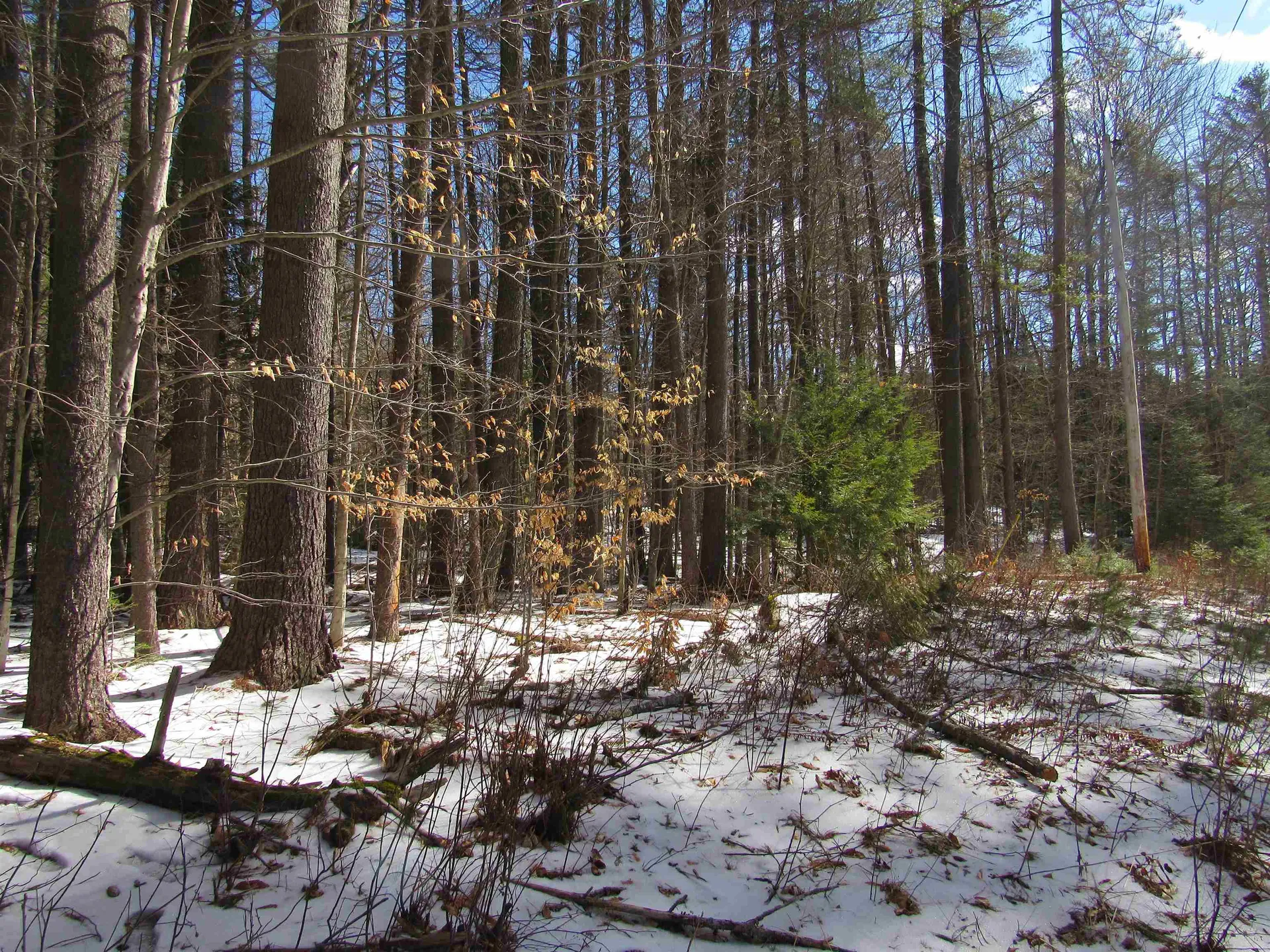 1192 Haven Hill Road Londonderry VT 05148