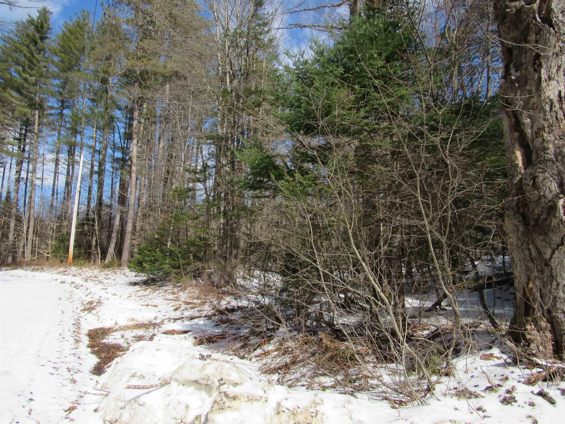 1192 Haven Hill Road Londonderry VT 05148