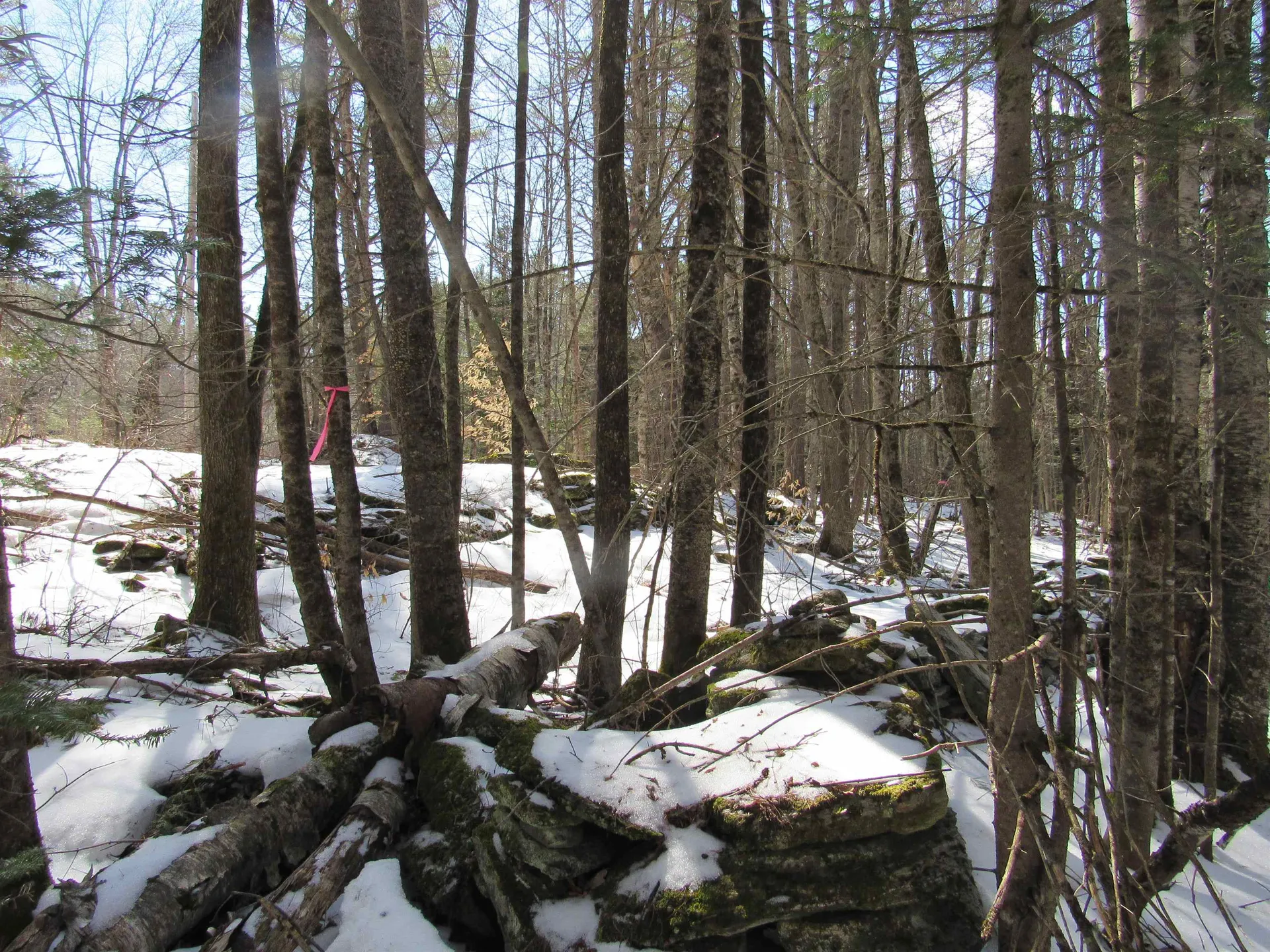 1192 Haven Hill Road Londonderry VT 05148