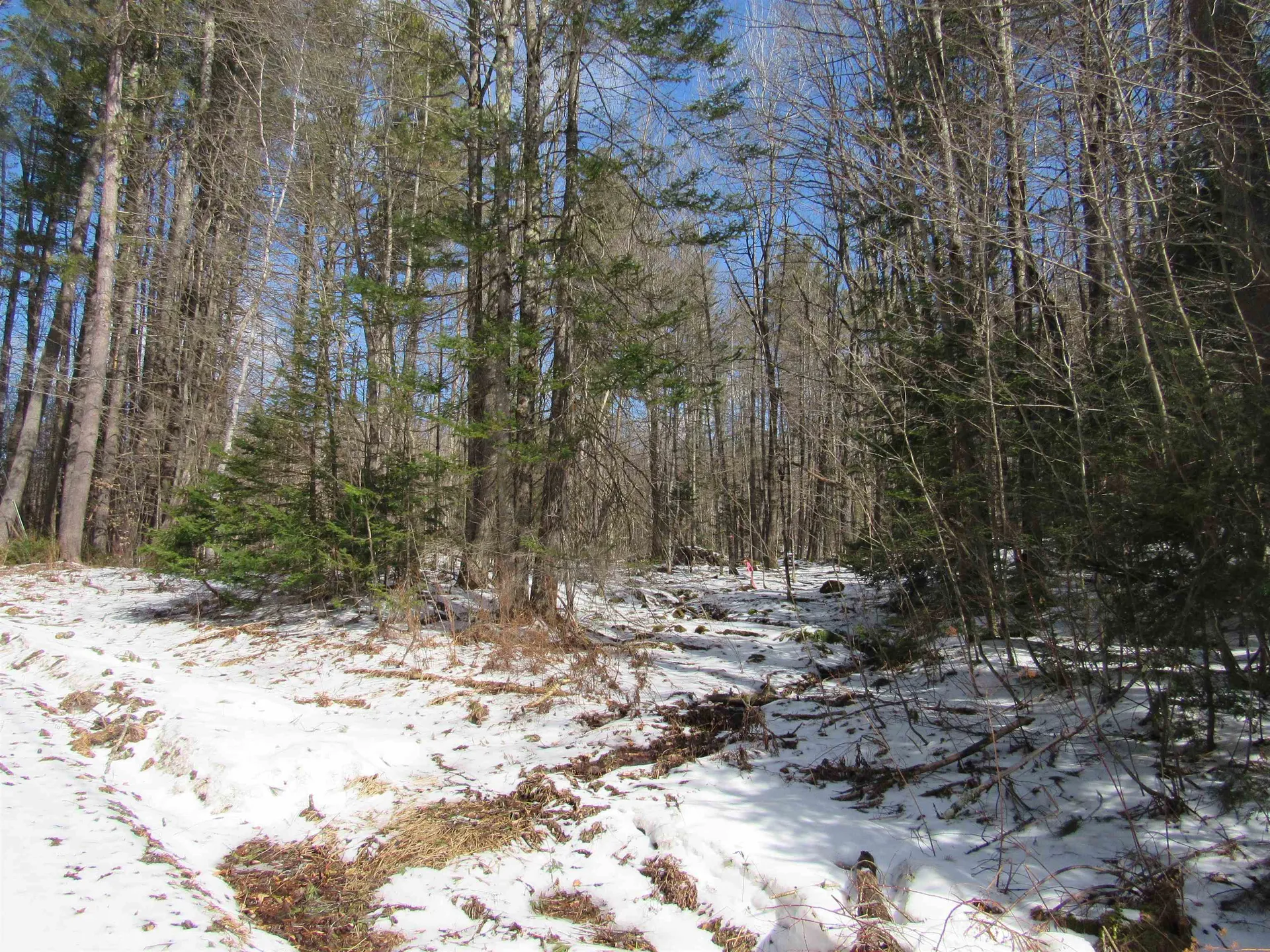 1192 Haven Hill Road Londonderry VT 05148