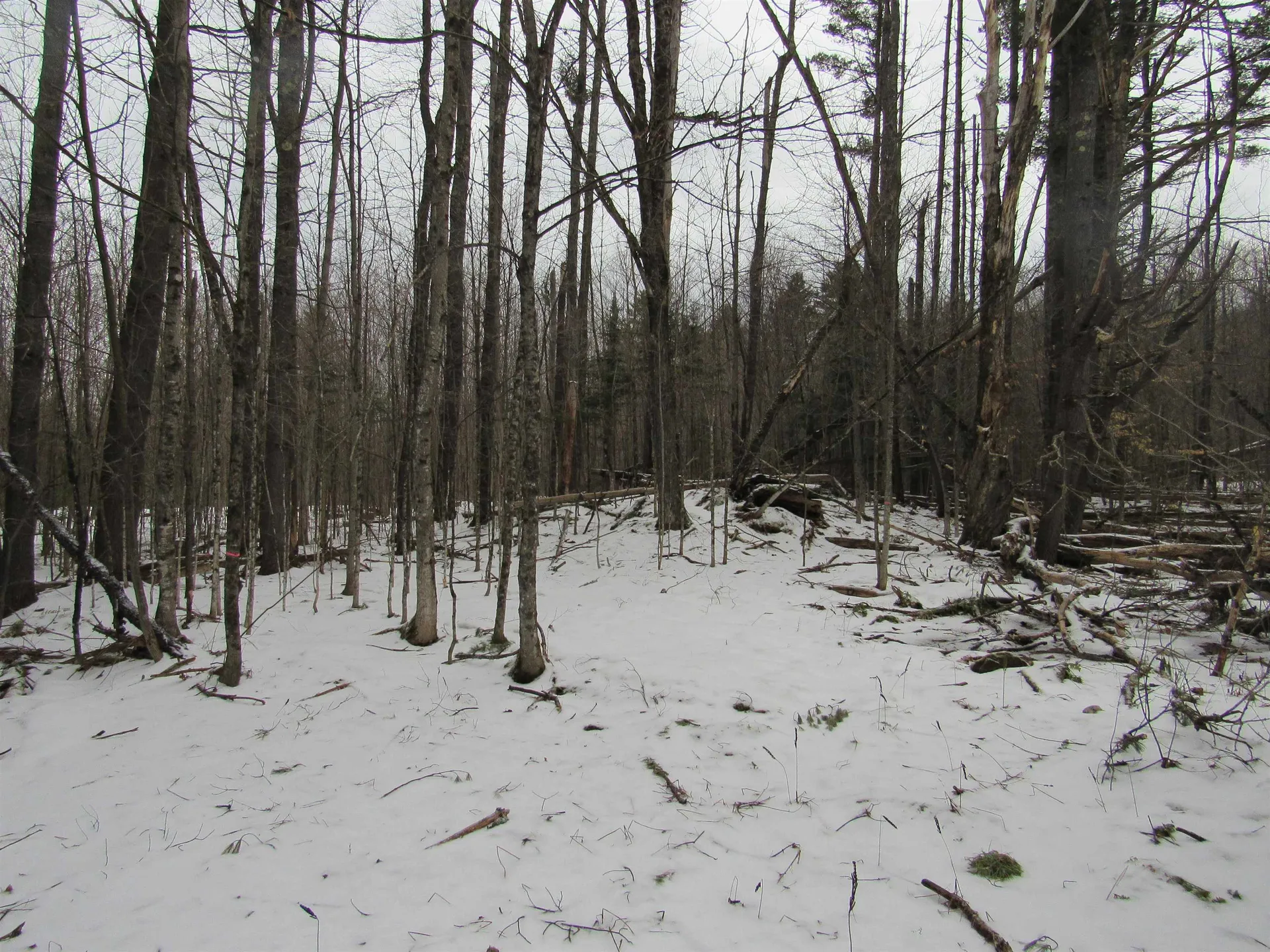 1192 Haven Hill Road Londonderry VT 05148