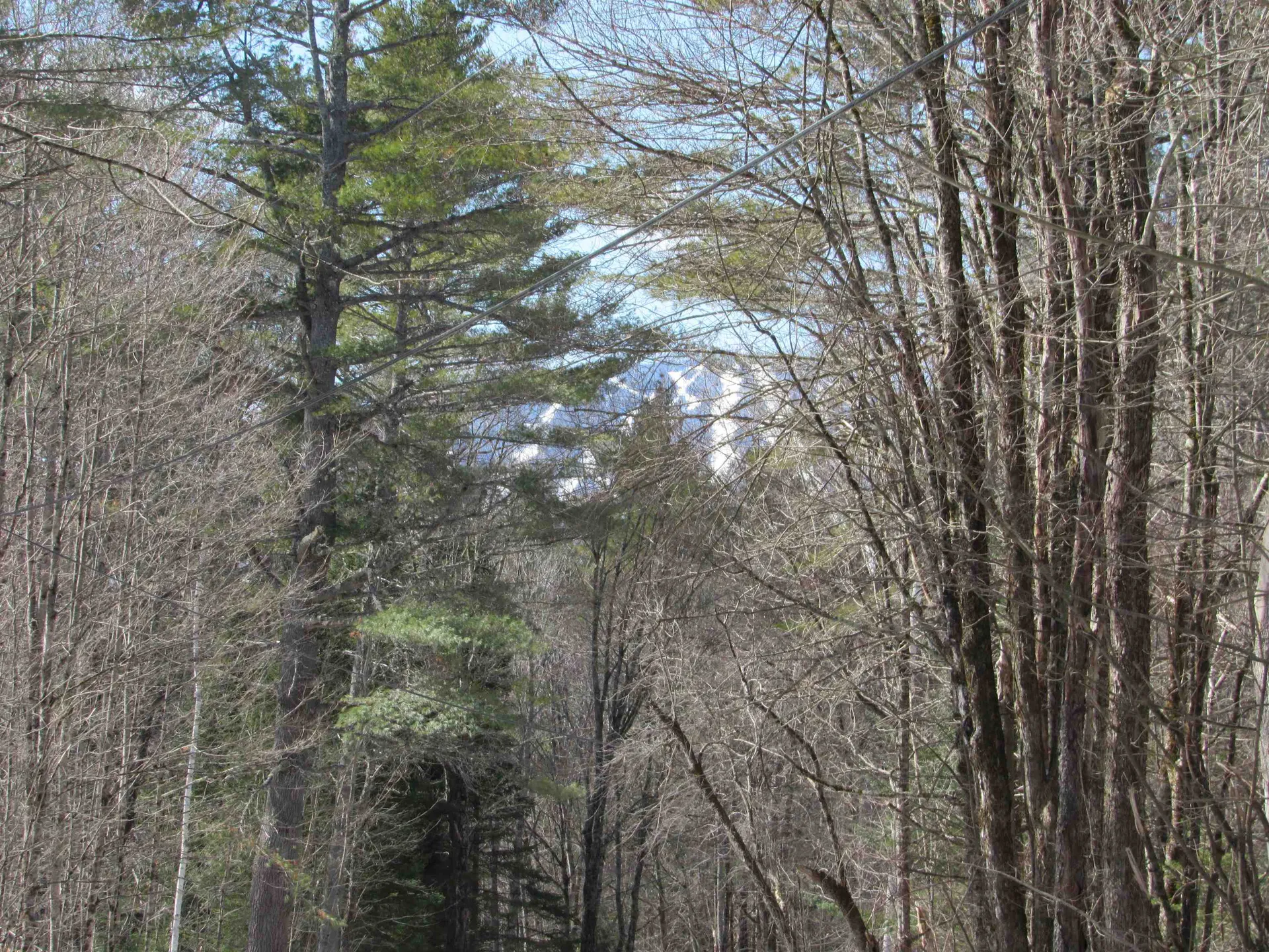 1192 Haven Hill Road Londonderry VT 05148