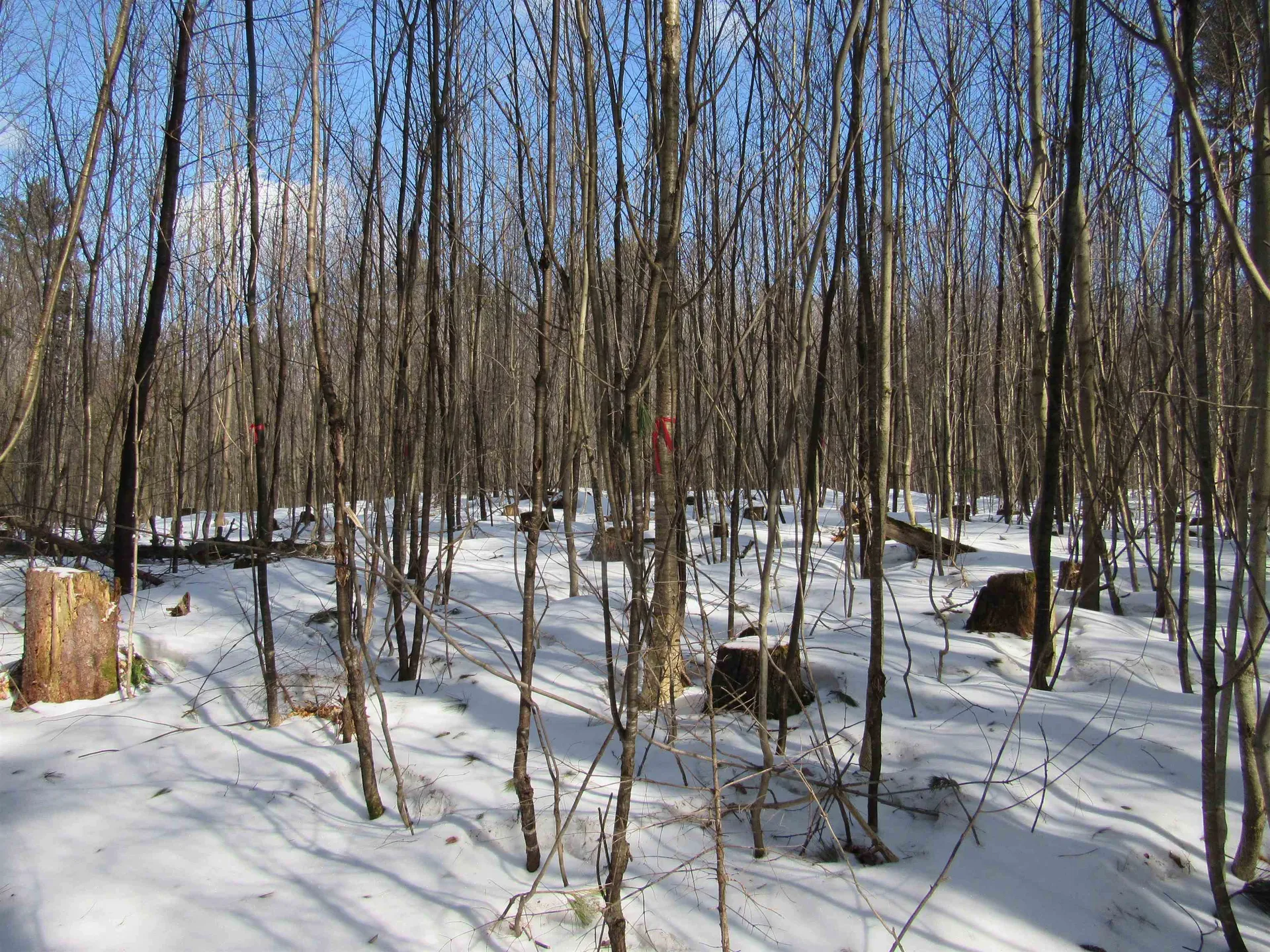 1192 Haven Hill Road Londonderry VT 05148