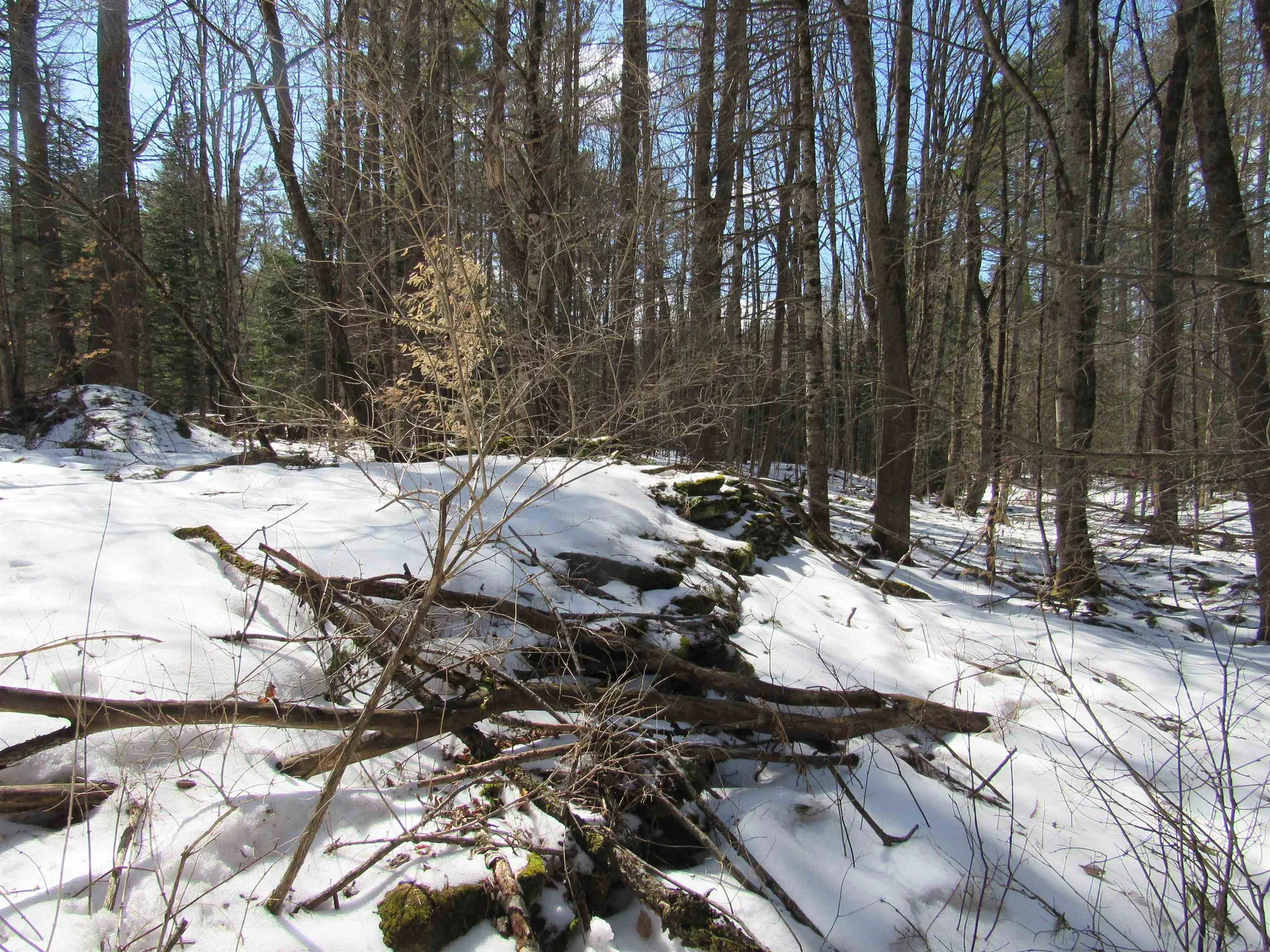 1192 Haven Hill Road Londonderry VT 05148