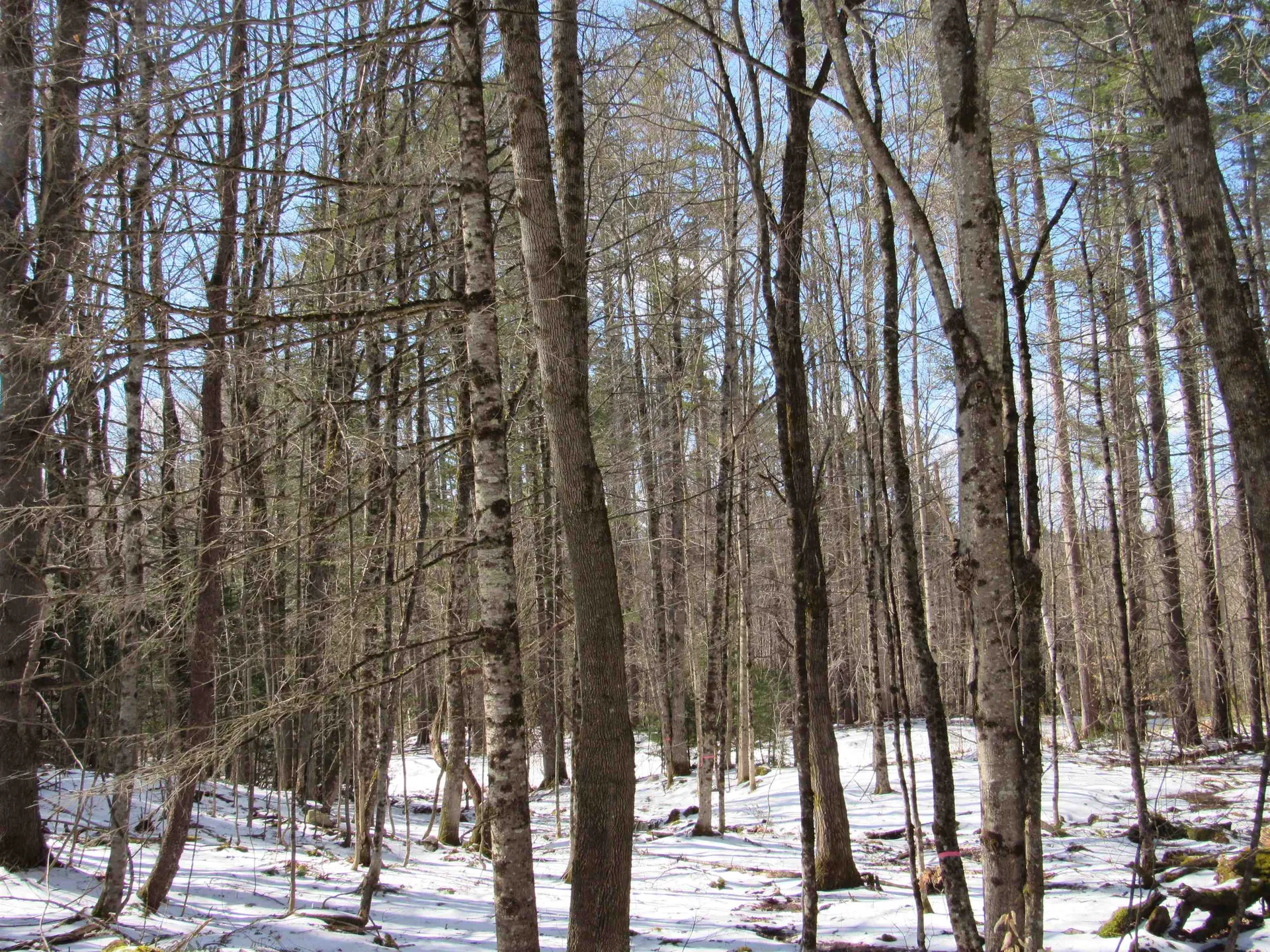 1192 Haven Hill Road Londonderry VT 05148