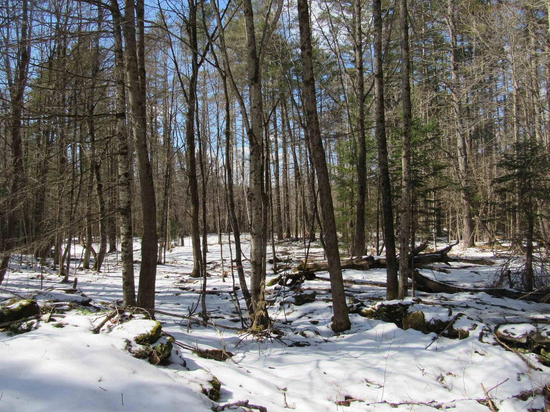 1192 Haven Hill Road Londonderry VT 05148