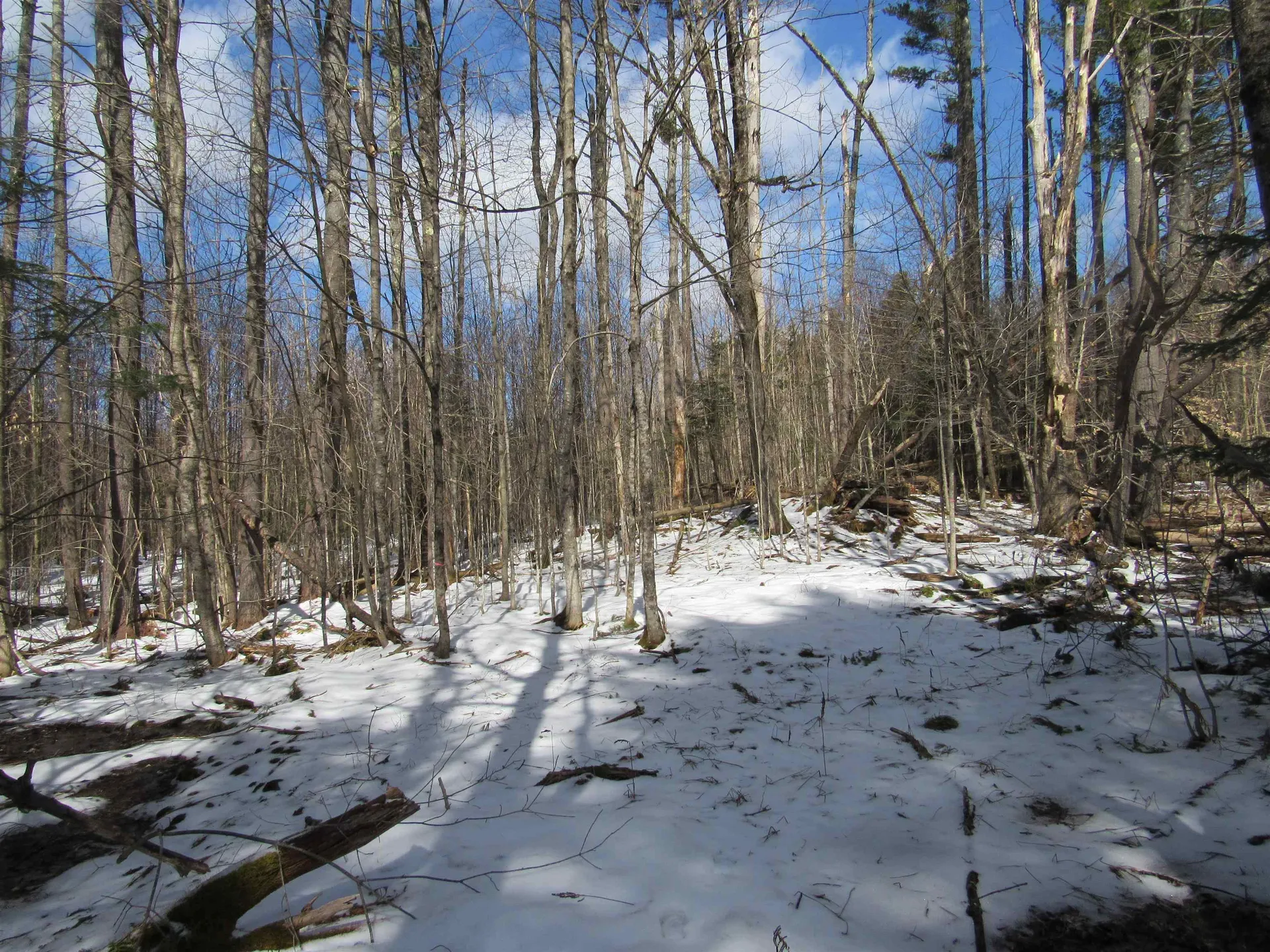 1192 Haven Hill Road Londonderry VT 05148