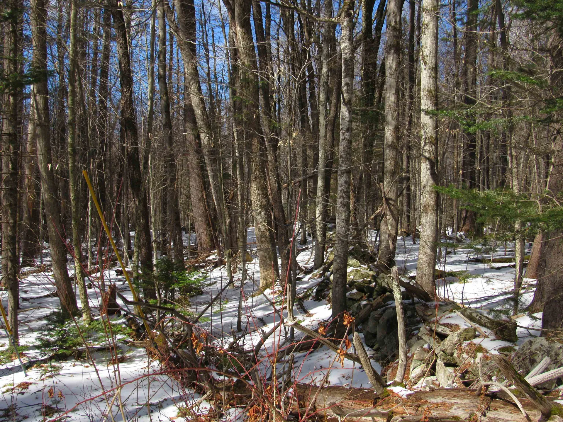 1192 Haven Hill Road Londonderry VT 05148