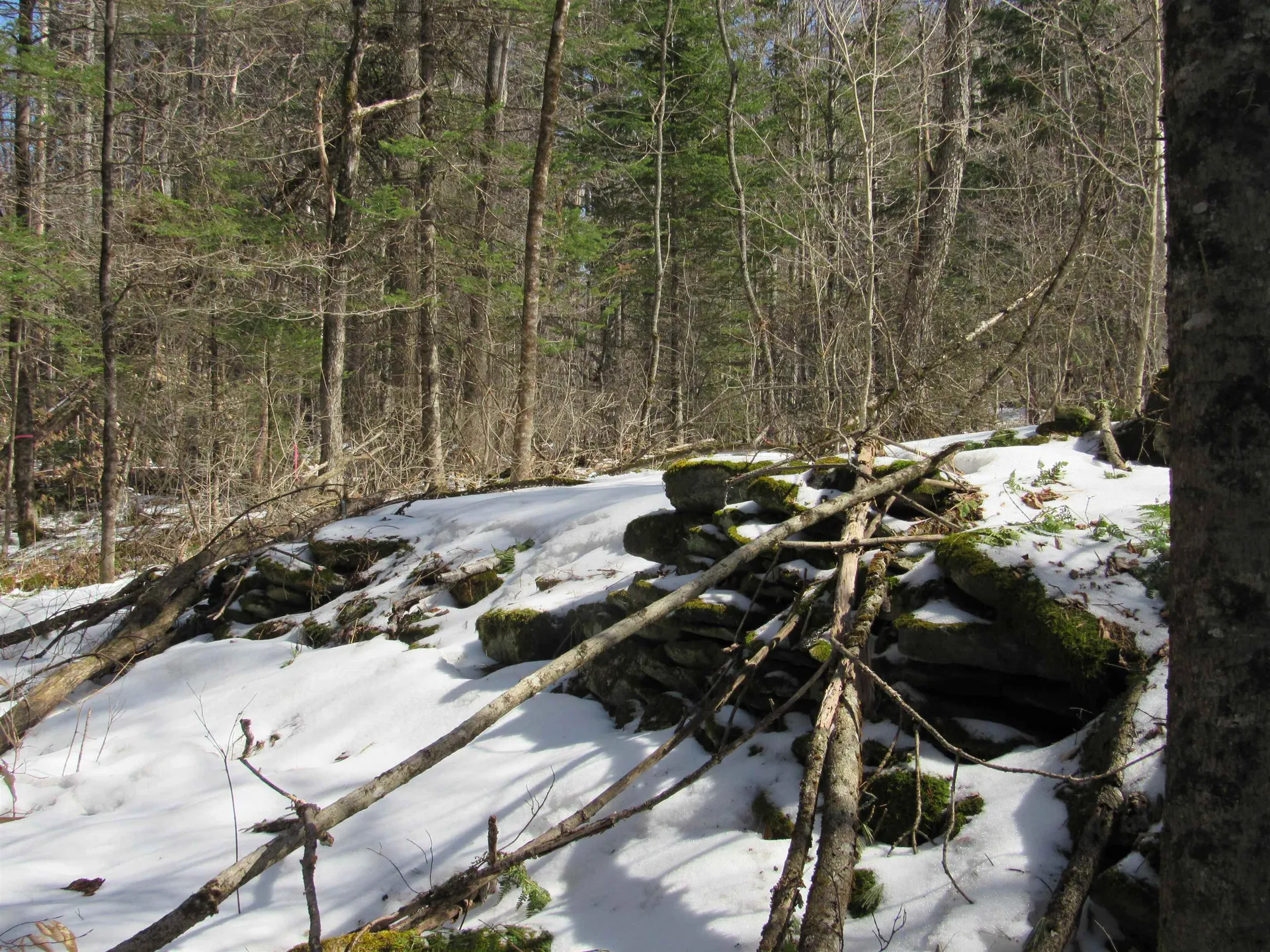 1192 Haven Hill Road Londonderry VT 05148