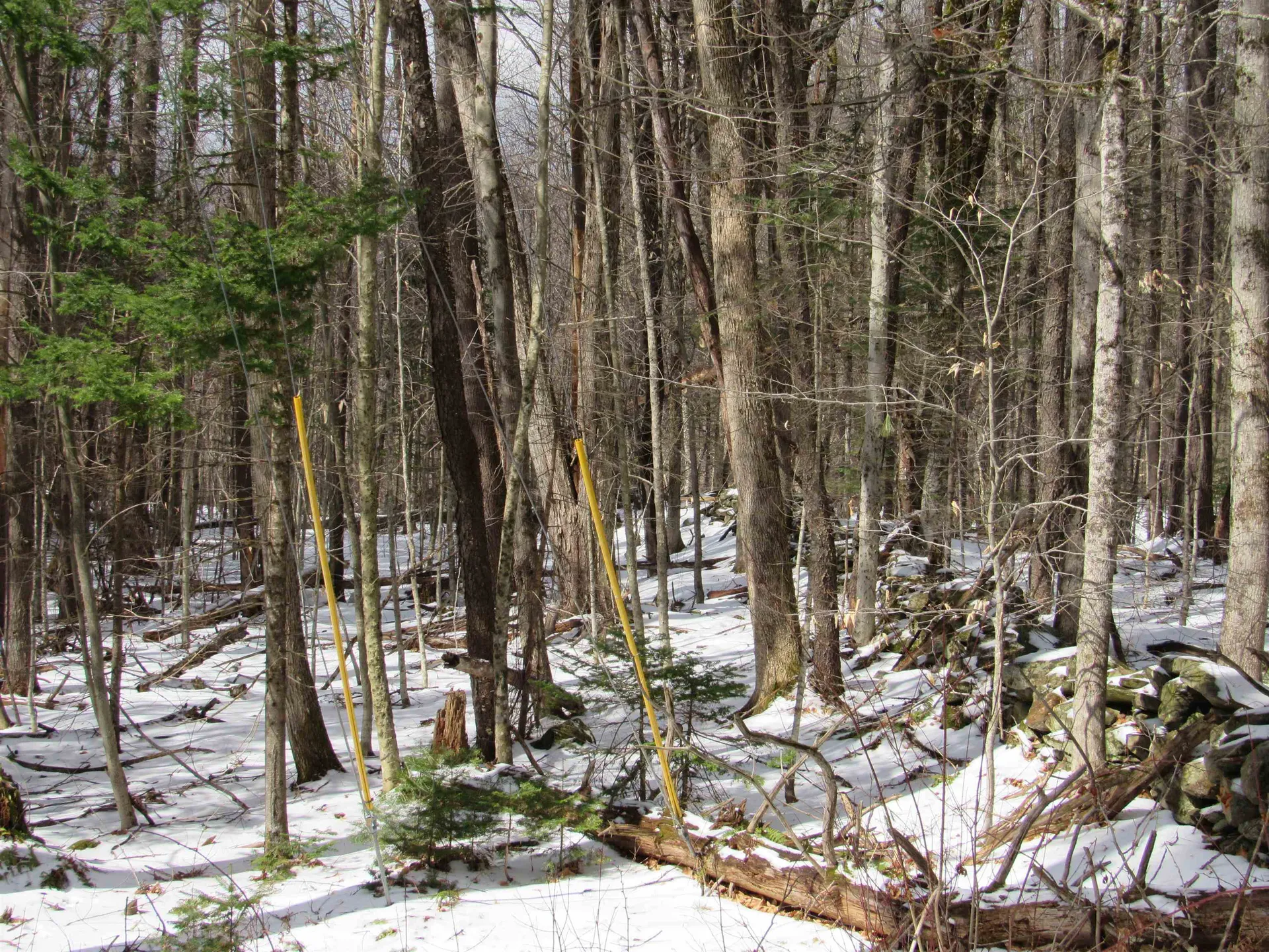 1192 Haven Hill Road Londonderry VT 05148