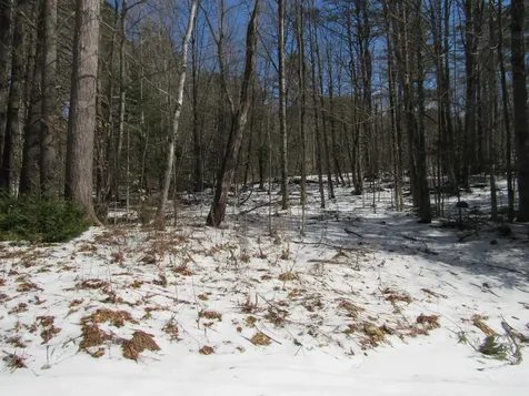 1192 Haven Hill Road Londonderry VT 05148