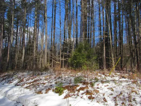 1192 Haven Hill Road Londonderry VT 05148