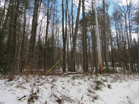 1192 Haven Hill Road Londonderry VT 05148