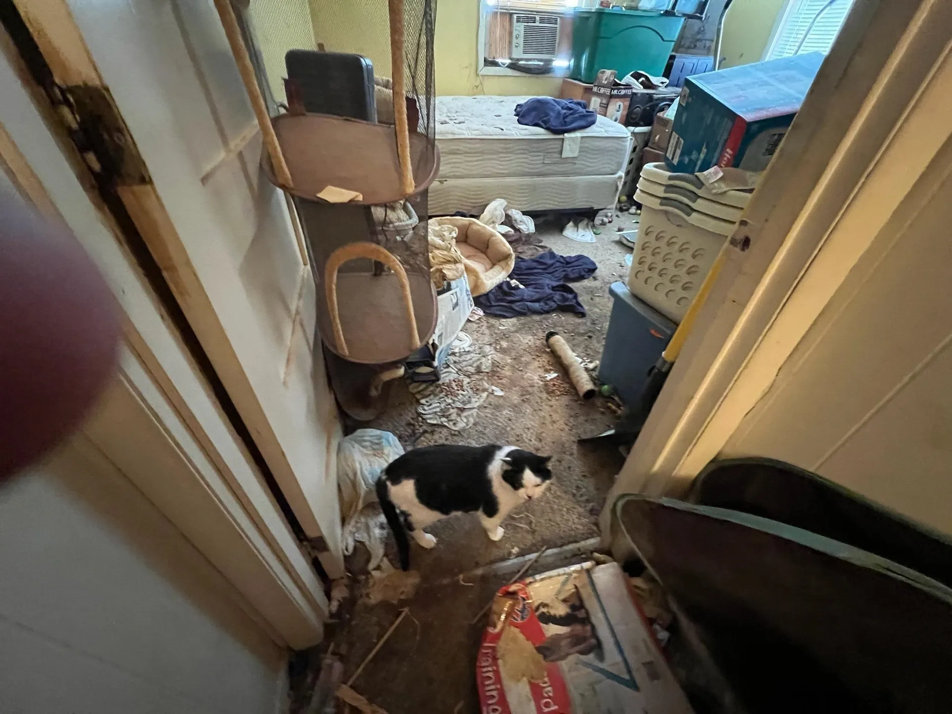 241 High Street Bradford VT 05033