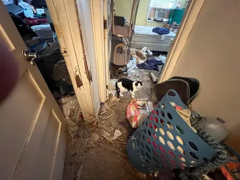 241 High Street Bradford VT 05033