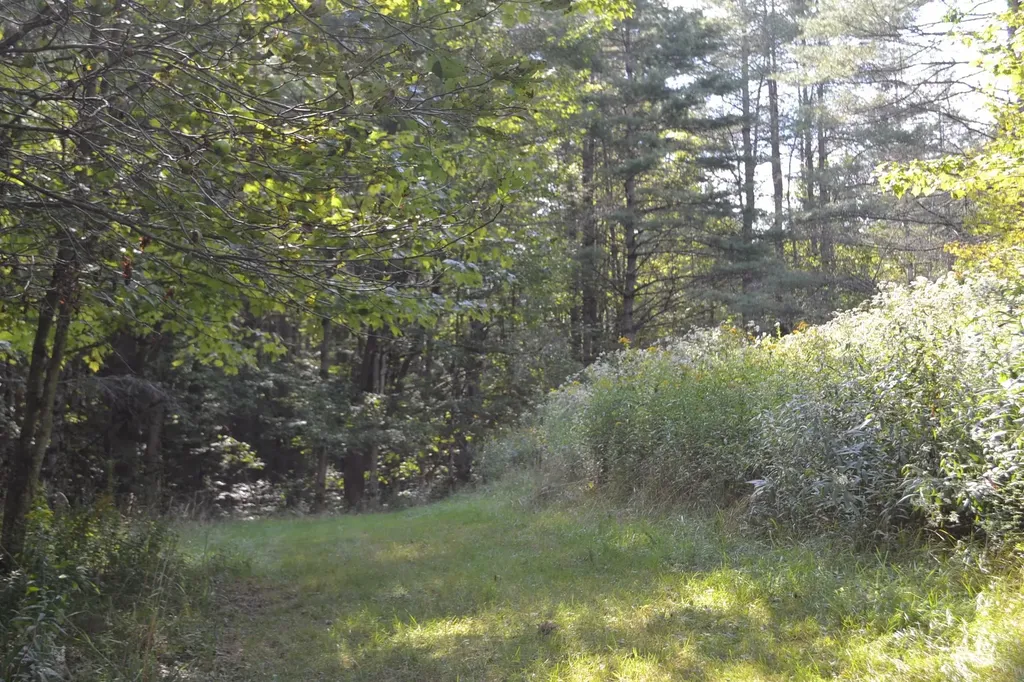 0 Shamrock Lane Montpelier VT 05602