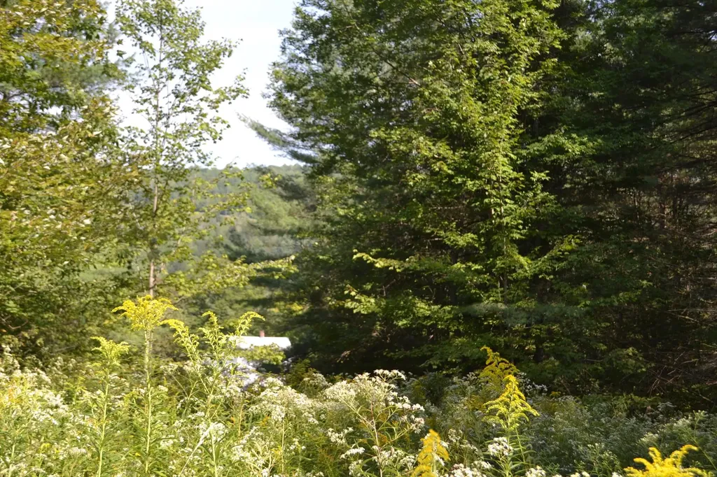 0 Shamrock Lane Montpelier VT 05602