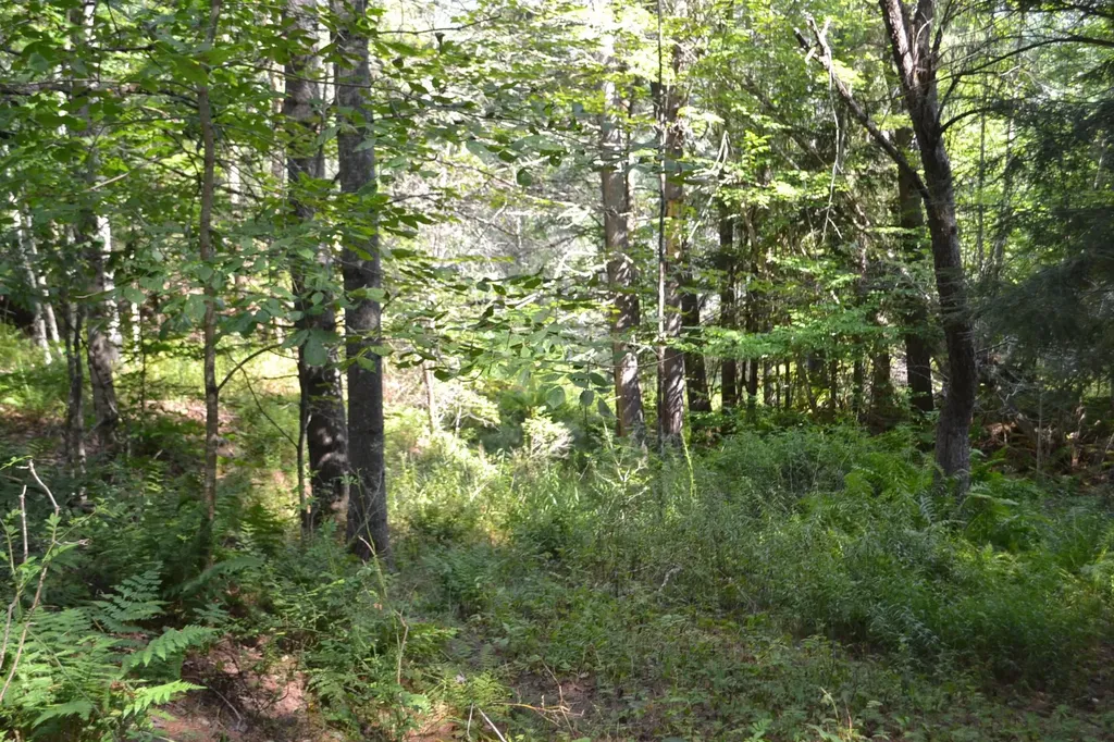 0 Shamrock Lane Montpelier VT 05602