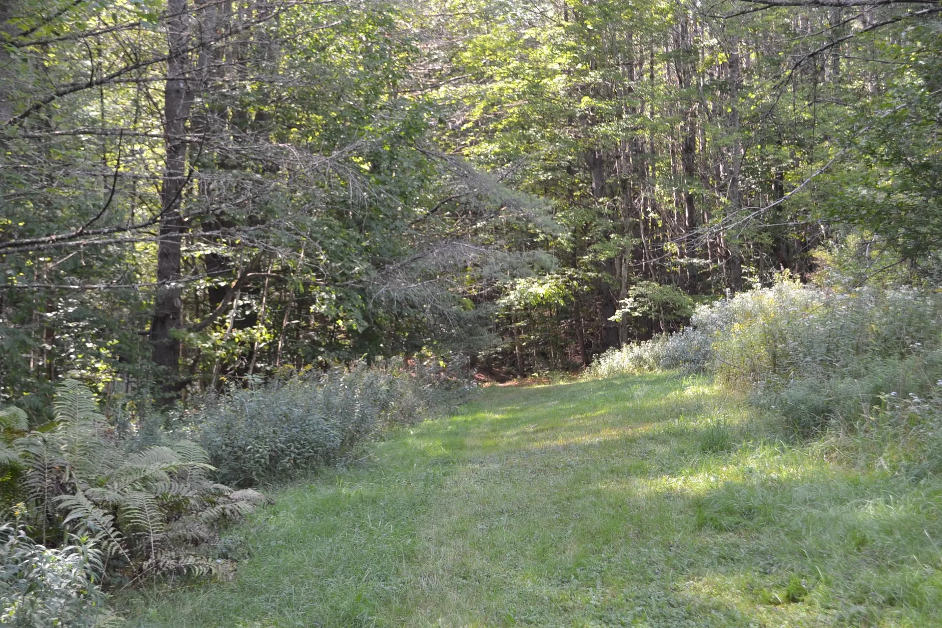 0 Shamrock Lane Montpelier VT 05602