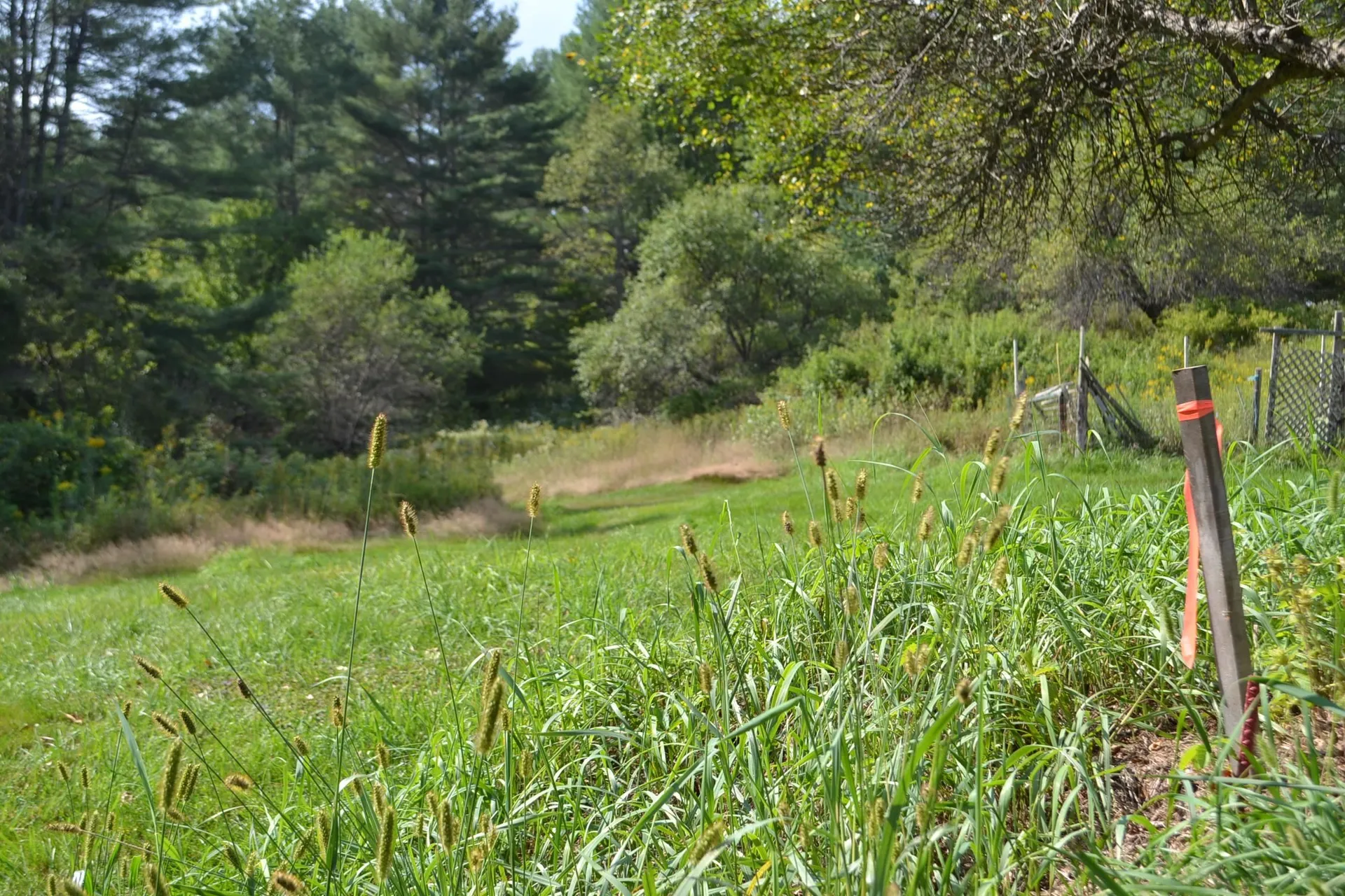 0 Shamrock Lane Montpelier VT 05602