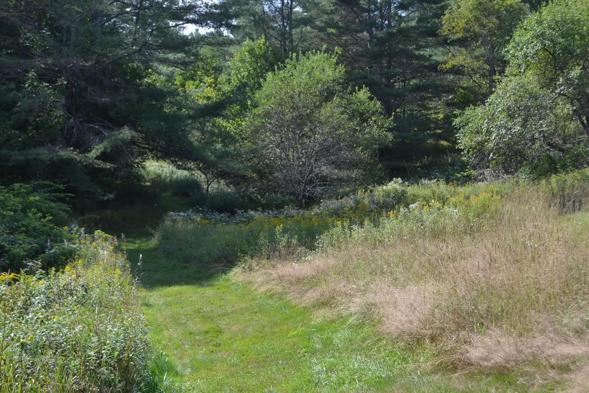 0 Shamrock Lane Montpelier VT 05602