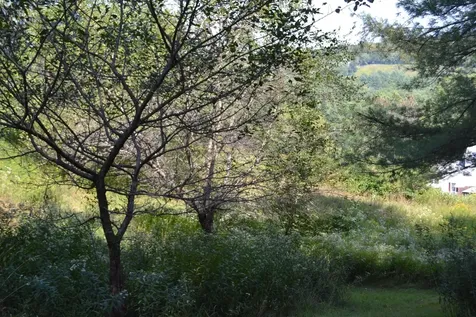 0 Shamrock Lane Montpelier VT 05602