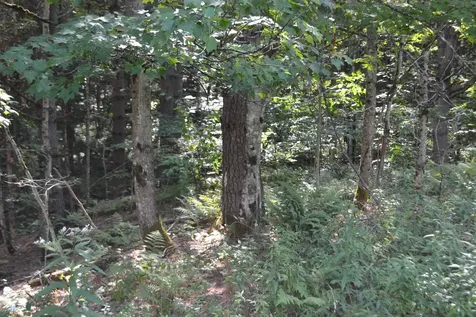 0 Shamrock Lane Montpelier VT 05602